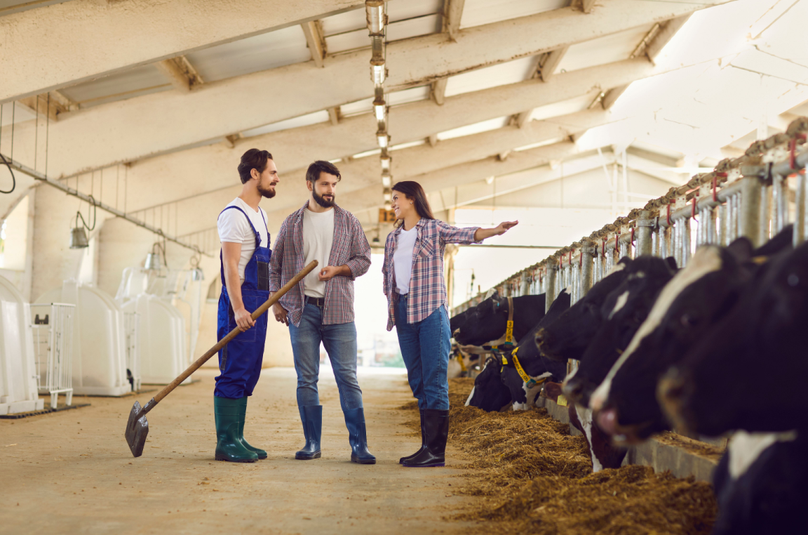 Dairy farming: Protecting your most valuable asset - Marsh McLennan ...